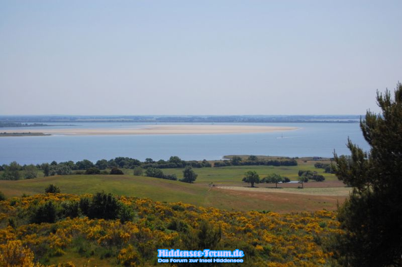 Blick zum Boddengewässer..