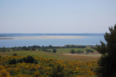 Blick zum Boddengewässer..