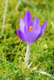 Frühling 2009