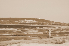 Strandgänger auf Hiddensee