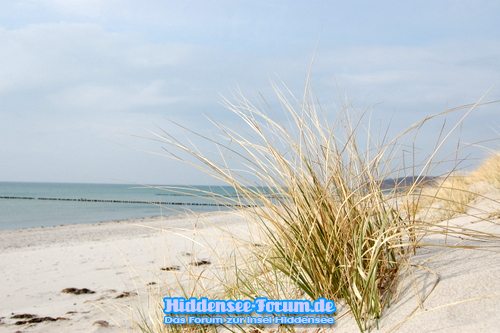Strand und Stille!!! EIN SCHÖNES GEFÜHL