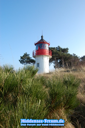 Der Gellen