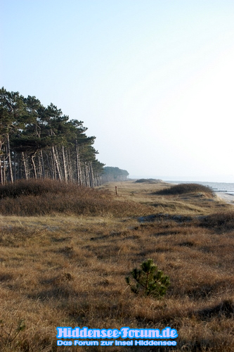 Süden