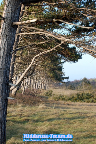 Süden