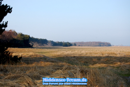 der Süden