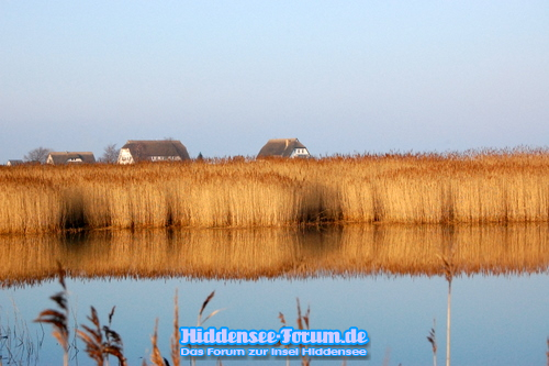Der Süden