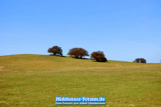 Hochland