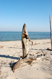 Am Strand beim Bessin