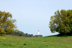 Landschaft