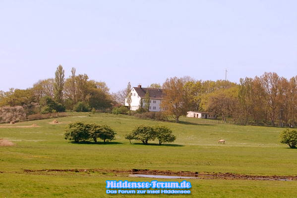 Landschaft