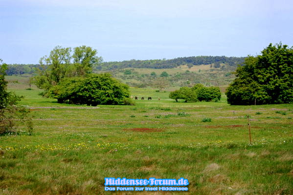 Landschaft
