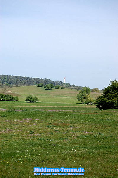 Landschaft