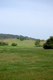 Landschaft