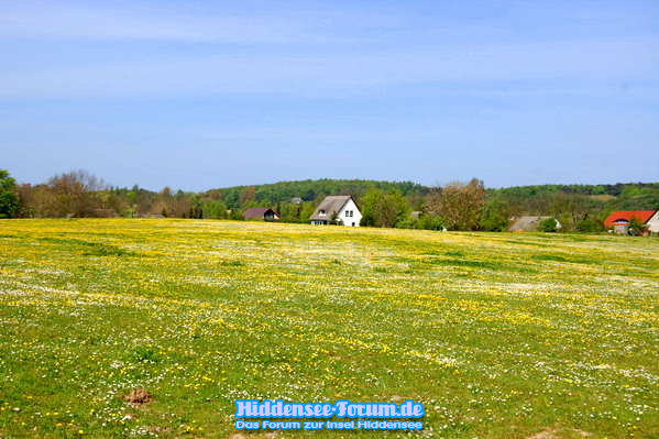Landschaft 2009