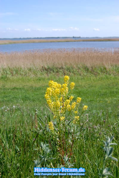 Landschaft 2009