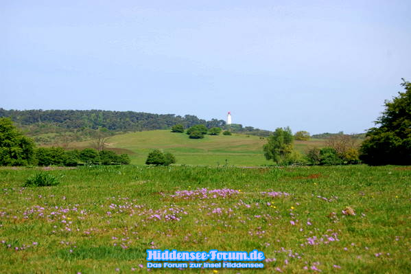 Der Leuchtturm Dornbusch