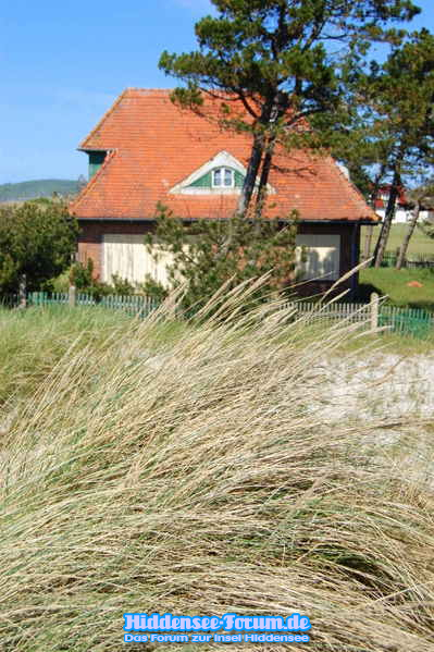 Vitte