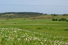 Blick zum Hochland
