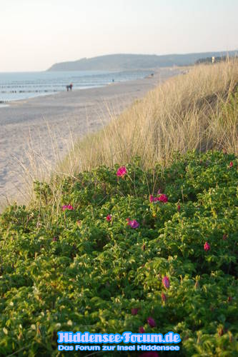 Strand im Mai