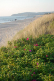 Strand im Mai