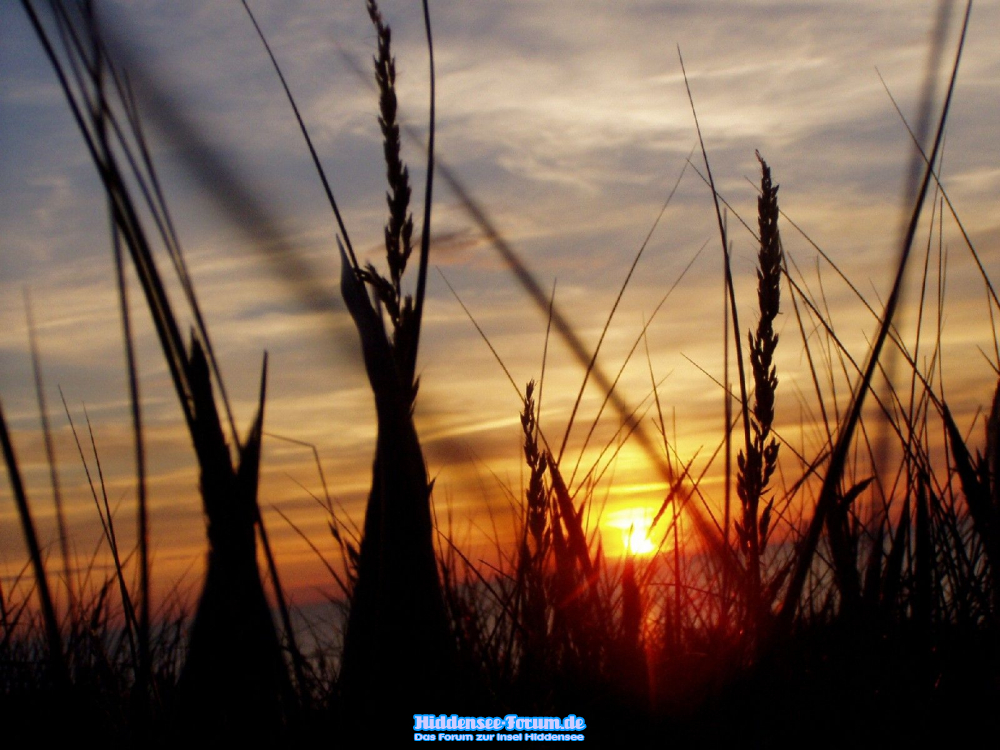 ...und wieder ein traumhafter Sonnenuntergang