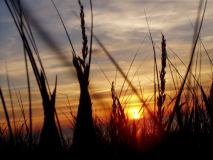 ...und wieder ein traumhafter Sonnenuntergang