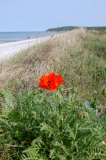 Strand am Vatertag