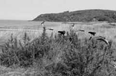 Strand am Vatertag