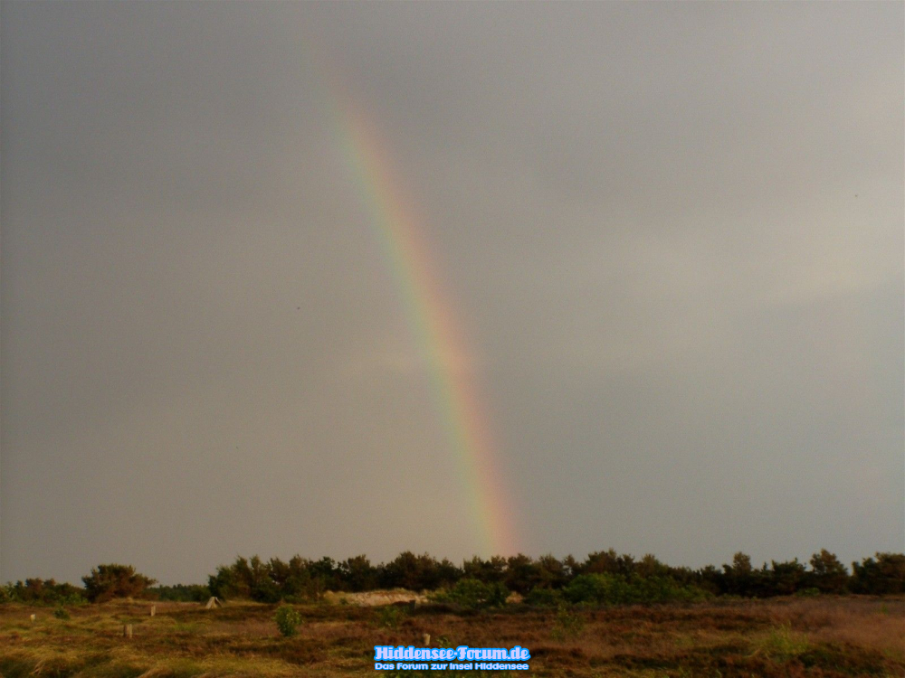 Regenbogen