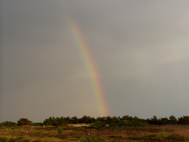 Regenbogen