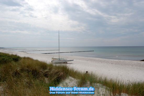 Natur auf Hiddensee