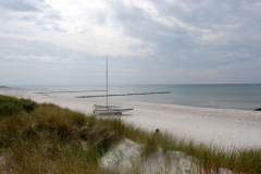 Natur auf Hiddensee