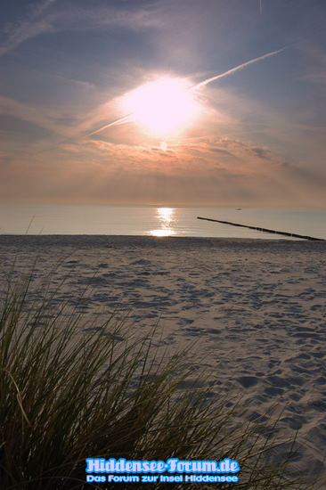 Strand auf Hiddensee