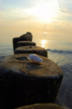 Strand auf Hiddensee