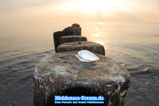 Strand auf Hiddensee