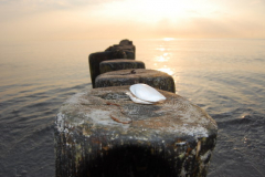 Strand auf Hiddensee