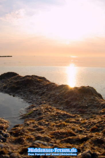 Strand auf Hiddensee