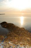 Strand auf Hiddensee