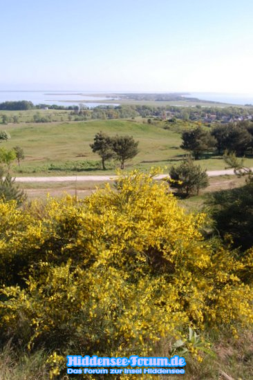 Inselblick 2009