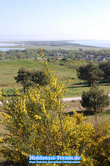 Inselblick 2009