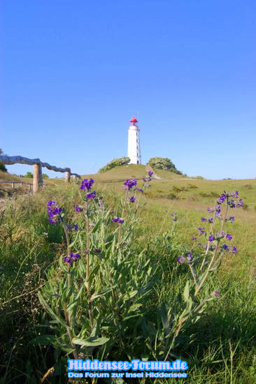 Leuchtturm Dornbusch 2009