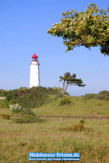 Leuchtturm Dornbusch 2009