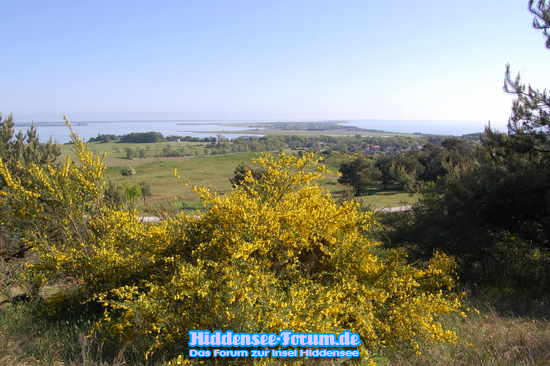 Inselblick 2009