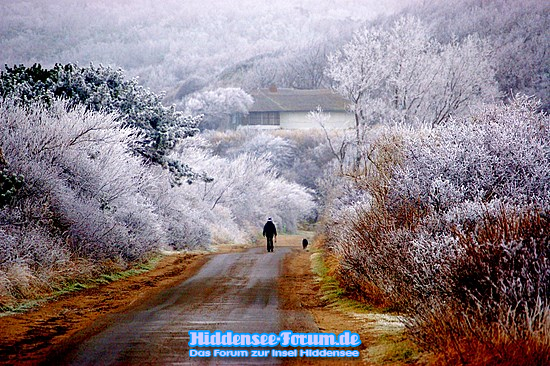Wintermärchen auf Hiddensee