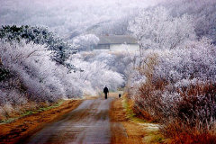 Wintermärchen auf Hiddensee