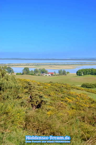 Hiddensee