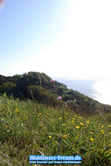 Hiddensee