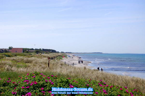 Strand auf Hiddensee