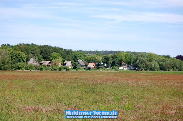 Landschaft