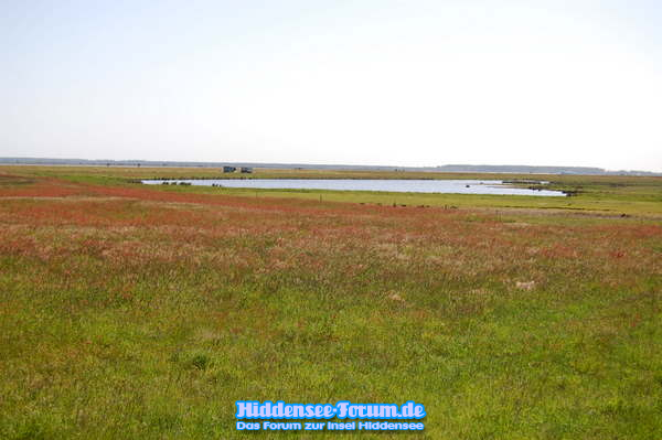 Landschaft